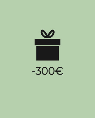 Geschenkideen unter 300€