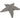 Schwimmender Stern Starfish