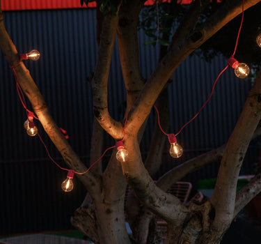 GIRLANDE ALLEGRA ROSE