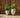 RUNDER BLUMENTOPF ALOE 55