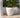 RUNDER BLUMENTOPF ARECA 60