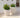 RUNDER BLUMENTOPF ARECA 60