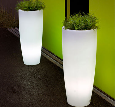 BUNTE BLUMENTÖPFE BAMBU 90 LICHT