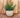 RUNDER BLUMENTOPF BEGONIA 80 HIGH