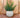 RUNDER BLUMENTOPF BEGONIA 80 HIGH