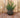 RUNDER BLUMENTOPF BEGONIA 80 HIGH