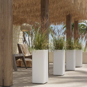 RECHTECKIGER TOPF MIT RÄDERN BROMELIA 28