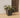 QUADRATISCHER TOPF CALENDULA 50 RUSTIC FARBE
