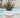 RUNDBLUMENTOPF CAMELIA 60 FARBE