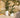RUNDBLUMENTOPF CAMELIA 60 FARBE