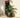 RUNDBLUMENTOPF CAMELIA 60 FARBE