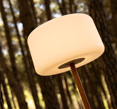 CHLOE PLANT VERSTELLBARE STEHLAMPE