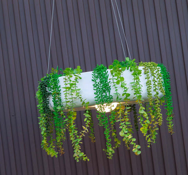 Runder Hängepflanzer mit kabelloser Beleuchtung ELBA 59