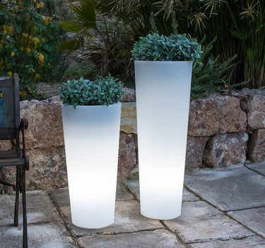 RUNDES PFLANZGEFÄSS MIT LEUCHTE FICUS 60