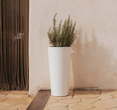 RUNDES PFLANZGEFÄSS FICUS 60 FARBE
