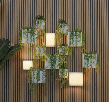 WALLY Solar-Wandleuchten & Wandtöpfe Set | Vertikaler Garten mit LED-Beleuchtung