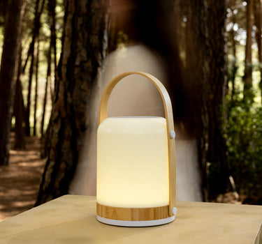 Fred Spielen Sie tragbaren Lautsprecher mit Licht