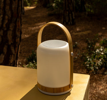 Fred Spielen Sie tragbaren Lautsprecher mit Licht