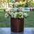 RUNDE PFLANZEN HORTENSIA 50 FARBE