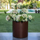 RUNDE PFLANZEN HORTENSIA 50 FARBE