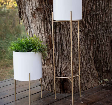 PFLANZENHALTER LIFT + HORTENSIA 30 WEISS