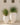 RUNDER BLUMENTOPF ALOE 45 - 16