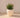 RUNDER BLUMENTOPF ARECA 80 - 06