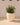 RUNDER BLUMENTOPF ARECA 80 - 06