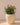 RUNDER BLUMENTOPF ARECA 80 - 08
