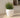 RUNDER BLUMENTOPF ARECA 80 - 11