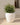 RUNDER BLUMENTOPF ARECA 80 - 11