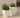 RUNDER BLUMENTOPF ARECA 80 - 13