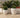 RUNDER BLUMENTOPF ARECA 80 - 15