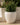 RUNDER BLUMENTOPF ARECA 80 - 16