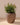 RUNDER BLUMENTOPF ARECA 80 - 18