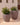 RUNDER BLUMENTOPF ARECA 80 - 20