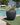 RUNDER BLUMENTOPF ARECA 80 - 23