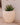 RUNDER BLUMENTOPF ARECA 80 - 29