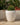RUNDER BLUMENTOPF ARECA 80 - 34