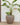 RUNDER BLUMENTOPF ARECA 80 - 39