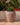 RUNDER BLUMENTOPF ARECA 80 - 40