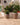 RUNDER BLUMENTOPF ARECA 80 - 43