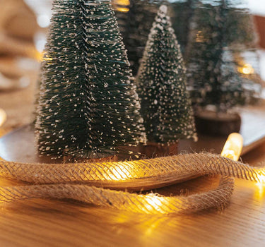 WEIHNACHTS LICHTERKETTE LIA