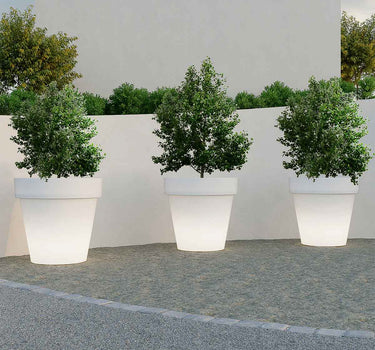 Großer Topf  MAGNOLIA 80CM LICHT