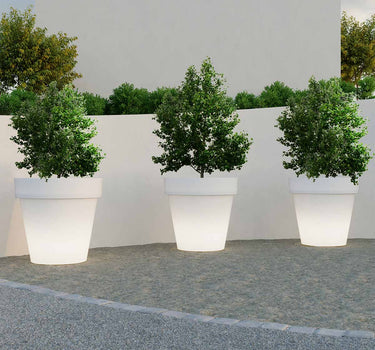 Großer Topf  MAGNOLIA 160 CM LICHT