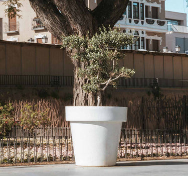 Großer Topf MAGNOLIA 160 CM FARBE