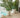 RUNDE BLUMENTOPF MAGNOLIA 30 CM FARBE