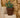 RUNDE BLUMENTOPF MAGNOLIA 30 CM FARBE
