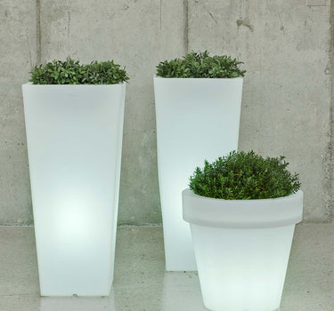 Großer Topf  MAGNOLIA 60 CM LICHT