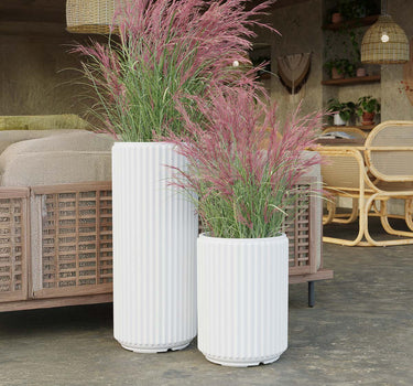RUNDER BLUMENTOPF MARANTA 30 x 70